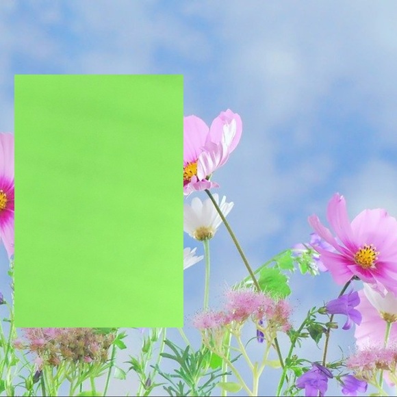 Other - 50 10X13 Neon Green Poly Mailers PRICE IS FIRM